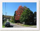 Grant Street West * 2592 x 1944 * (2.8MB)